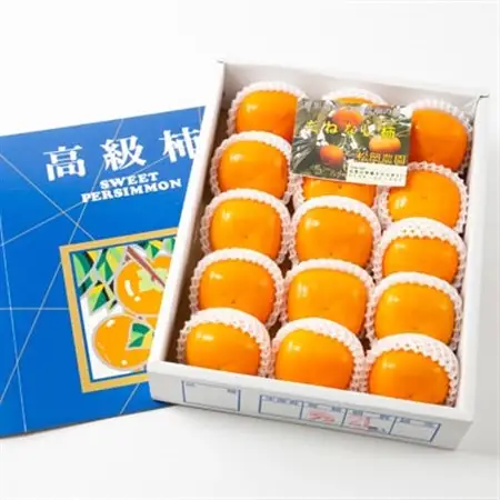 【2026年秋より順次発送】旬のたねなし柿　特選2Lサイズ(15個入り)_果物・フルーツ 柿（カキ）  かき_【配送不可地域：離島・北海道・沖縄県】【1512962】