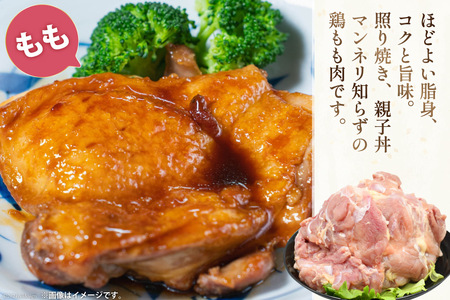 肉 鶏肉 宮崎県産若鶏 鶏肉バラエティーセット3kg [アイフーズ 宮崎県 日向市 452060754]