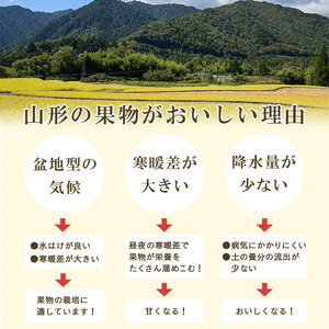 《先行予約》令和8年産 りんご（サンふじ）と ラ・フランス 詰合せ 2.5kg 山形県産【2026年11月頃から12月中旬頃発送予定】2026年産 山形県産　012-B-MM072