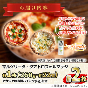 【0114703a】サクッ、もちっ！東串良のこだわり2種ナポリピッツァセット(各1枚・合計2枚) ピザ マルゲリータ クアトロフォルマッジ 詰め合わせ セット 冷凍 チーズ【グラッツェタンテ】