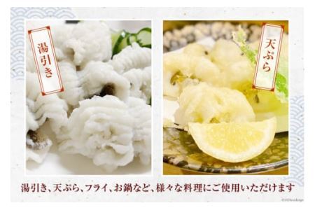 鱧 ( ハモ ) 切り身 1kg [とこ丸 徳島県 北島町 29bj0002]