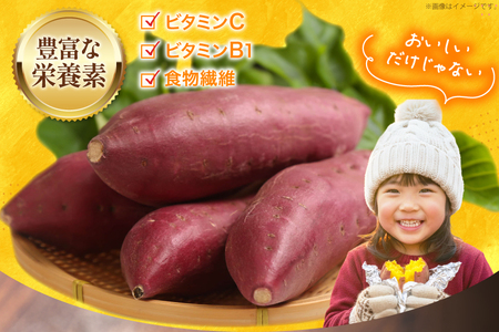 【大人気！】 さつまいも なると金時 5kg [北島町役場 徳島県 北島町 29bb0001]