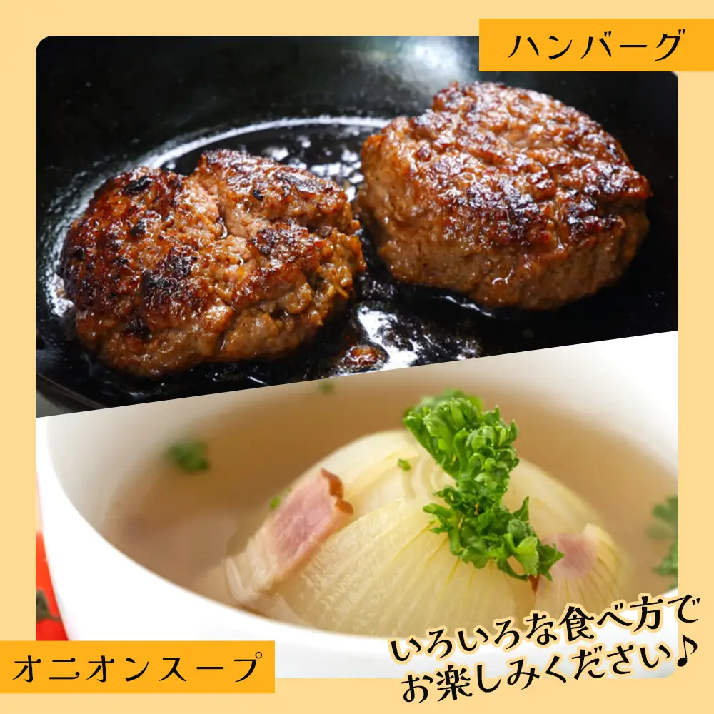 玉ねぎ 5kg 先行予約 【玉ねぎ 玉葱 タマネギ 玉ねぎ 高知県 たまねぎ 玉ねぎ 玉ねぎ 玉ねぎ 玉ねぎ 玉ねぎ】 ke-0036