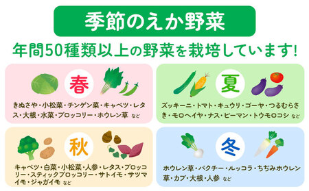 えか野菜 おまかせ5～7種セット 有機JAS認定 株式会社えか自然農場 | 野菜セット