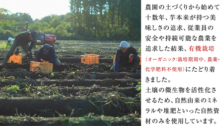 干し芋 紅はるか 丸干し 照沼Quality 150g×4袋 セット つくばみらい さつまいも 訳あり シロタ 干し芋 丸干し いも 照沼 食物繊維 農薬不使用 化学肥料不使用 不使用