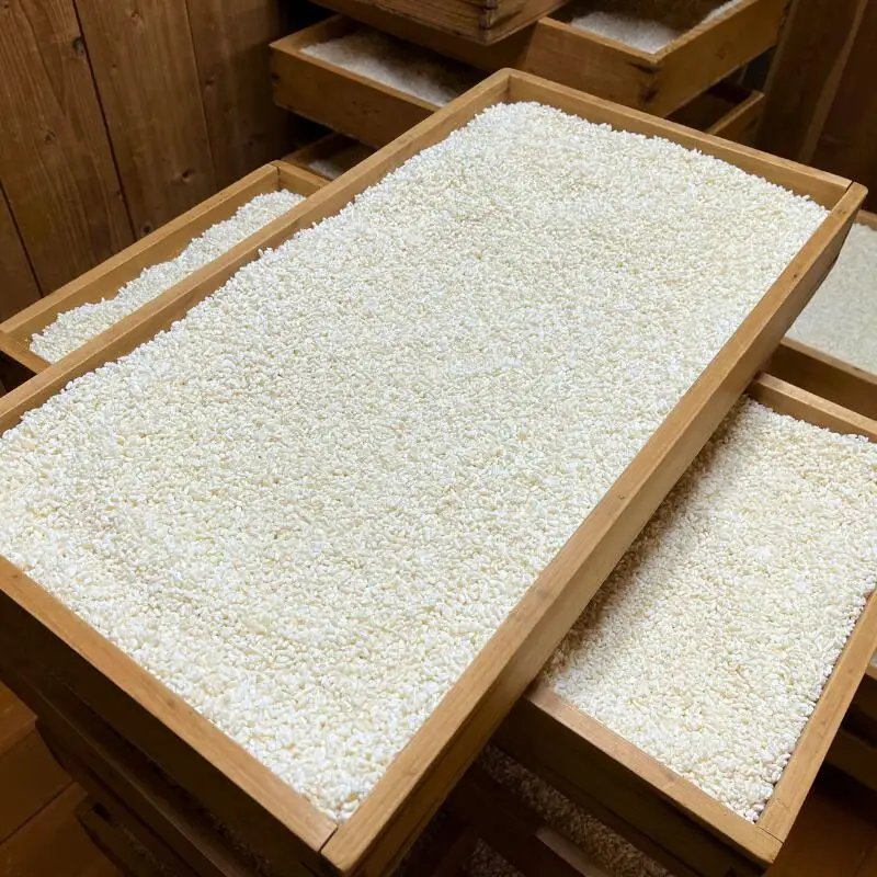 生米麹900g（300g×3個） / 米こうじ 生麹 発酵食品 調味料 塩麹 甘酒 味噌 みそ 和歌山県 田辺市【kyj026-1】