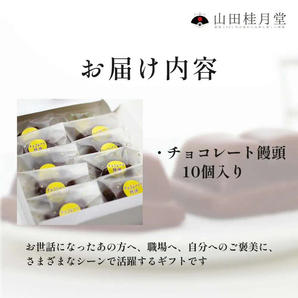 ＜山田桂月堂＞チョコレート饅頭　10個入り　40P5614