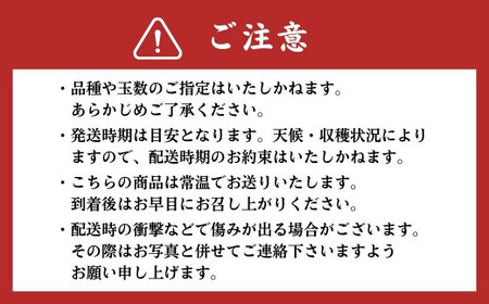 熊本県ＪＡくま産 球磨の梨 5kg(12玉～16玉 旬な品種) お届け時期：2026年8月上旬～10月上旬