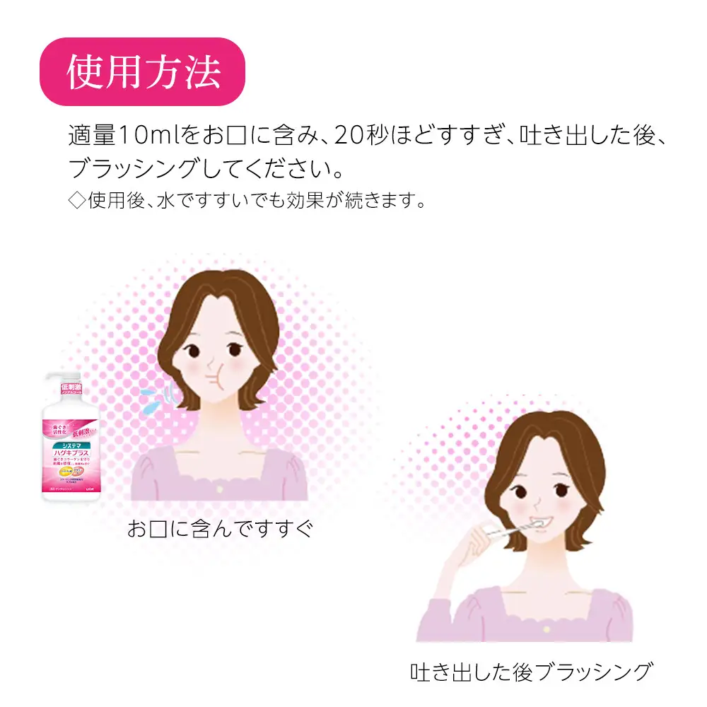 【寄附額見直しました！】LION ハグキプラスリンスセット 日用品 ふるさと納税