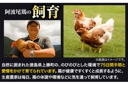 阿波尾鶏  食べ比べ　合計 2kg《30日以内に出荷予定(土日祝除く)》