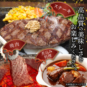 博多和牛 ミスジブロック 1ポンド（約450g） _KY5106