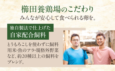 名古屋コーチン 卵 40個（20個入×2ケース）（保証4個含）【化粧箱入り】 / 卵 たまご 玉子 鶏卵 大容量 / 稲沢市 / 櫛田養鶏場 [BMAY001]