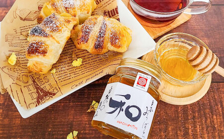 はちみつ 和 100g×2本 / 国産 はちみつ 生はちみつ 非加熱 無加工 純粋 蜂蜜 / 稲沢市 / マミリカズ [BMAT001]