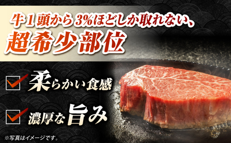 【A4〜A5ランク】長崎和牛 極上 ヒレステーキ 300g（150g×2枚）《壱岐市》【野中精肉店】 黒毛和牛 牛肉 和牛 赤身 希少部位 24000円 24000 [JGC001]