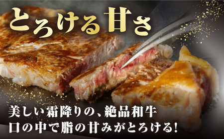 【全2回定期便】【A4～A5ランク】長崎和牛 サーロインステーキ 400g（200g×2枚）《壱岐市》【野中精肉店】 黒毛和牛 牛肉 和牛 赤身 希少部位  46000円 46000 4万円 [JGC030]