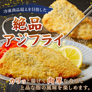 松浦アジフライと海鮮醤油漬けセット( 魚 鯵 人気 )【B0-245】