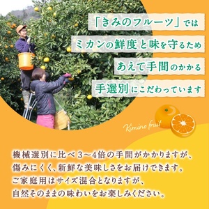  あま～い！ カツオの有機肥料が味の決め手！ 「きみの完熟ミカン」 約2kg (15~25個程度) サイズ混合 2S~L ご家庭用(秀優混合) 紀美野町産 /みかん ミカン 柑橘 和歌山県 有機 手選別 【kmf004-c-2】
