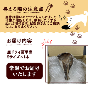 【大切な愛犬に】鹿ドライ肩甲骨Sサイズ（17～19cm）（犬 歯磨き ペット用品