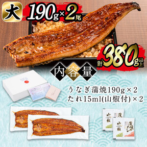 日ノ本一の鰻の蒲焼き＜大＞2尾(計380g以上) うなぎ 鰻 ウナギ 国産 鹿児島県産 九州産 蒲焼き 冷凍 うな重 ひつまぶし b1-018