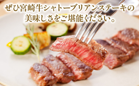 牛肉 宮崎牛 シャトーブリアン・ヒレ ステーキ 600g 牛肉