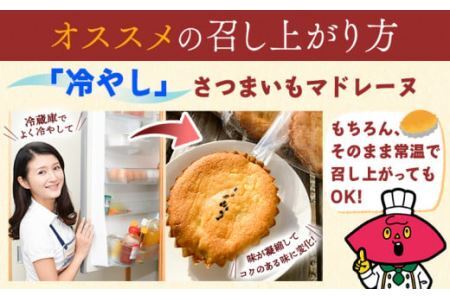 さつまいもマドレーヌ さつまいものガレットブルトンヌ セット (3個) (3枚入 × 1袋) 6個セット