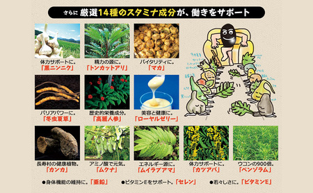 DHC醗酵黒セサミン+スタミナ30日分 3個(90日分)セット