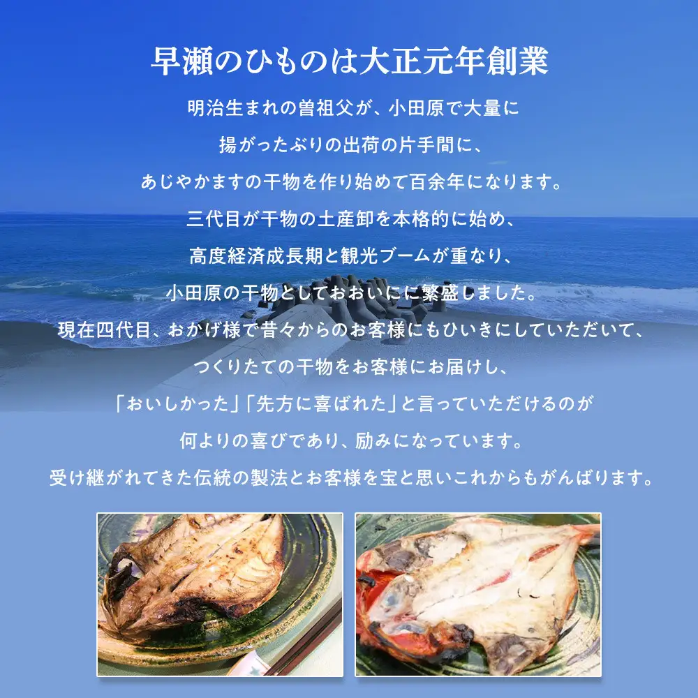 超ひものセット【惣菜 魚 干物 ひもの お取り寄せ 御中元 お中元 お歳暮 父の日 母の日 贈り物 家庭用 自宅用 贈答品 贈答用 ギフト 定番 朝食 朝ごはん あじ いぼ鯛 かます かれい ホッケ いか 金目鯛 さば 神奈川県 小田原市 干物 】