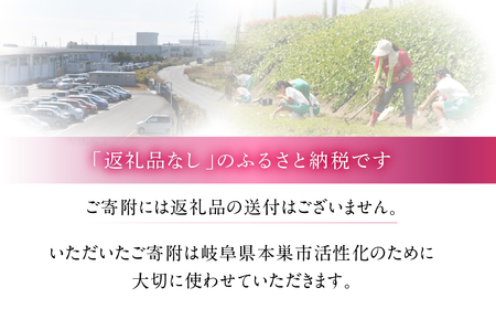 《返礼品なし》 ～ 岐阜県本巣市への寄附 応援寄附金 淡墨桜 (返礼品はありません) [0960]  mt309