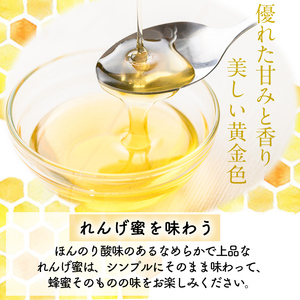 K-203-A ＜数量限定＞霧島産れんげ蜜(300g) ＜無添加 非加熱 着色料・保存料不使用＞ 純粋ハチミツ 100%天然【冨吉養蜂】霧島市 はちみつ 蜂蜜 ハニー 純粋 純国産