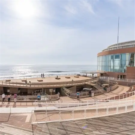 アクアワールド茨城県大洗水族館　年間パスポート(大人1名・幼児1名分)_旅行券・チケット 水族館 入場券・優待券 _【配送不可地域：離島・沖縄県】【1510279】