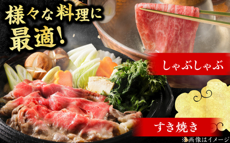 【博多和牛】特選ロース 薄切り500g / 牛肉 ロース [AFBV056]