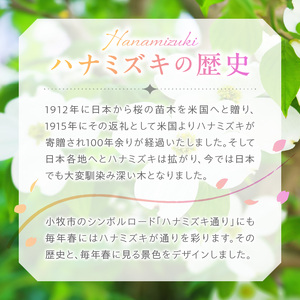 SVハナミズキペンダントネックレス ギフト 誕生日 バレンタイン ホワイトデー 大切な方からのプレゼントのお返しに [016K24]