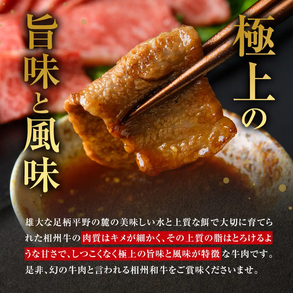 【牛肉 定期便 12回】 幻の相州黒毛和牛肩肉 1.2kg×12回 計14.4kg【相州黒毛和牛 相州牛 幻の牛肉 極上の旨味と風味 キメ細かな上質の脂 様々な料理に ブランド牛 ブランド牛肉 神奈川県 小田原市 】
