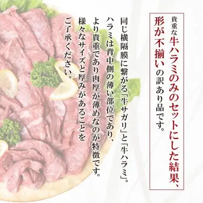 Y61-43 【訳あり】牛ハラミ肉2種(旨辛ダレ、ねぎ塩) 600g 牛肉