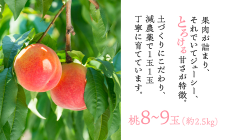 【先行予約】飛騨直送 桃とリンゴのフルーツ定期便 桃 6玉 りんご リンゴ 5kg 訳あり 訳アリ 定期便 
