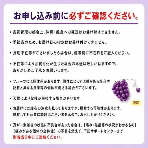 ぶどう ピオーネ 種なし 計約1kg 2房 ぶどう