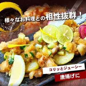 【希少部位】国産若鶏の鶏トロ3kg（300g×10パック） 丸亀 鶏トロ 希少部位 ジューシー 唐揚げ 国産 若鶏 お肉 鶏肉 牛肉 鶏肉唐揚げ 丸亀 