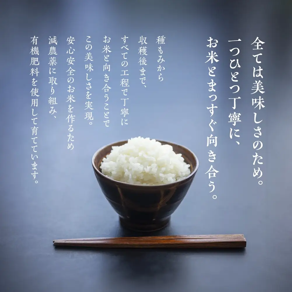 【2025年産】きぬむすめ 5kg（5kg×1袋）【かみはら山水農園】【28-12】