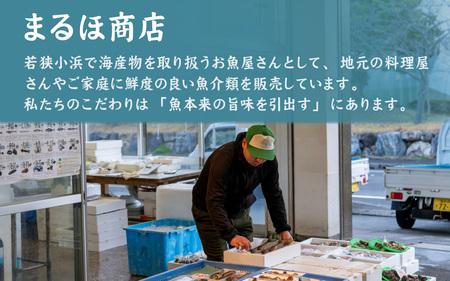 若狭グジの一塩仕立て 500g×1尾 小浜市 / まるほ商店【配送不可地域：北海道・沖縄・離島】  [BFCS001] 