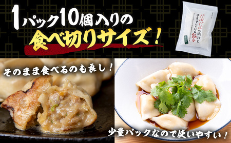だぶだぶの肉汁をすすりたくなる餃子 20個（10個入×2パック） BE012