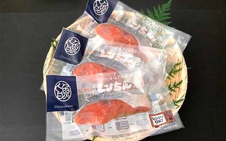 【北海道産釧路加工】レンジで簡単レンちん君　「鮭」セット 鮭 さけ サケ 簡単調理 レンジ おかず 調理済 時短 調理 F4F-9195