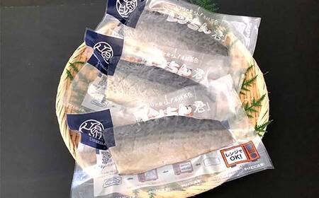 【北海道産釧路加工】レンジで簡単レンちん君　「さば」セット 鯖 サバ さば 簡単調理 レンジ おかず 調理済 時短 調理 F4F-9193