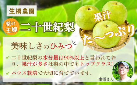 【先行予約・数量限定】ハウス二十世紀梨 3kg【鳥取県産】（生橋農園） 梨 果物 フルーツ