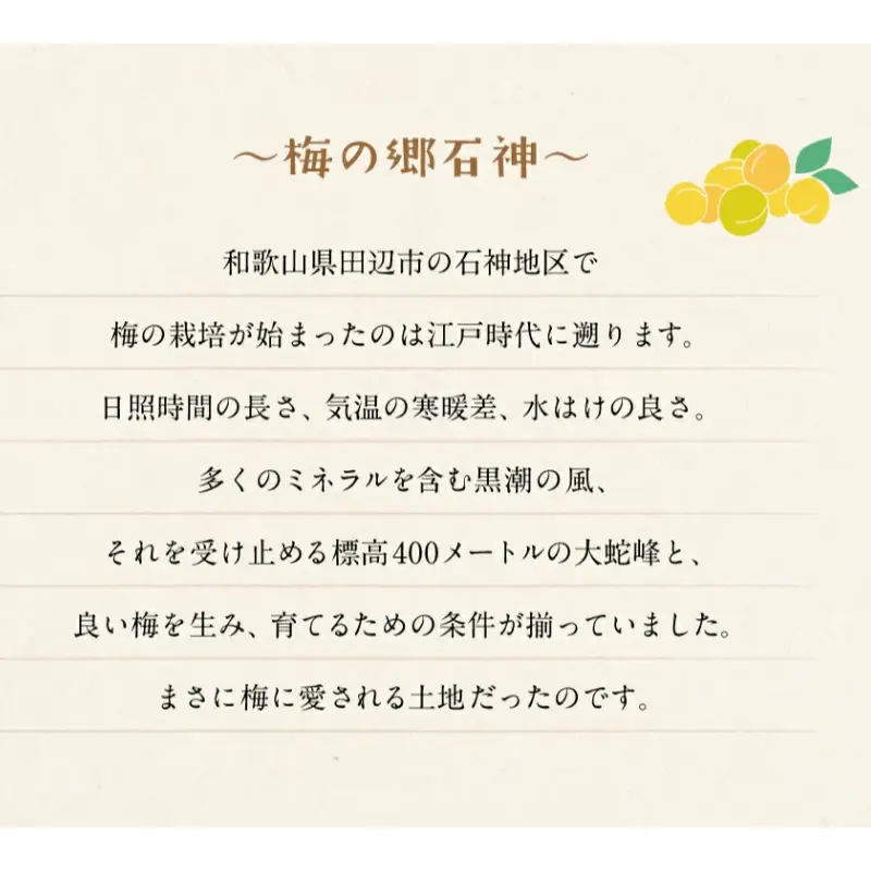 有機白梅酢 500ml / 紀州南高梅 南高梅 梅干し 梅干 梅 うめ 酢 調味料 和歌山 田辺市 【isg040-1】