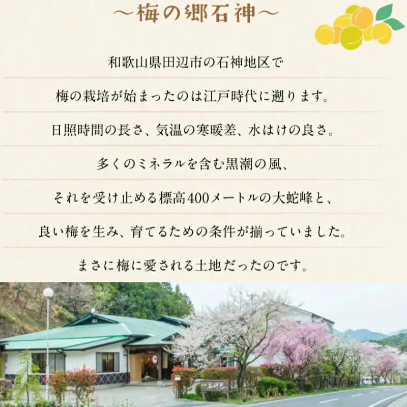 梅酢2種セット/ 紀州南高梅 南高梅 梅干し 梅干 梅 うめ 酢 調味料 和歌山 田辺市 【isg041-1】