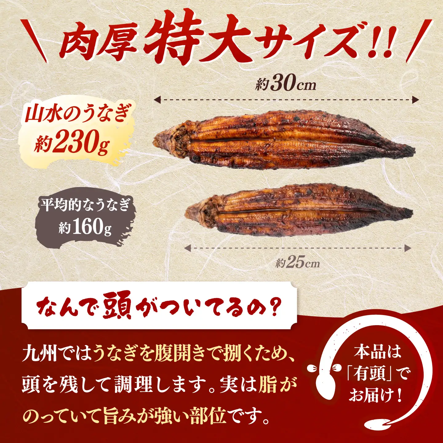 全3回定期便 鹿児島産うなぎ2尾 蒲焼・白焼セット 桂川町/山水商事 [ADAH018] 鰻 鰻蒲焼き 白焼 鰻白焼 鰻セット 特大鰻 定期便