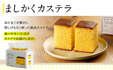 ココテラスの新鮮な卵とお菓子の堪能セット カステラ マドレーヌ クッキー マヨネーズ 醤油 たまご専用醤油 調味料 料理 赤卵 白卵 タマゴ 卵 鶏卵 焼き菓子 洋菓子 グルメ スイーツ お取り寄せ 詰め合わせ ギフト 贈り物 プレゼント 愛知県 常滑市