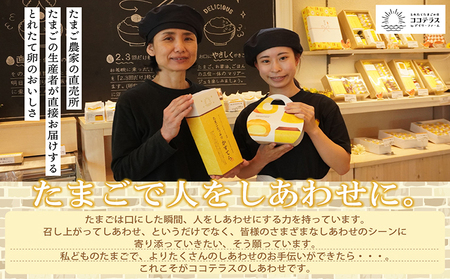 ココテラスのクッキー（10個） 洋菓子 焼き菓子 子どものおやつ おやつ 菓子 卵 ティータイム ギフト 手土産 プレゼント 個包装 こだわりスイーツ デザート グルメ ココテラス 母の日 父の日 お取り寄せ 愛知県 常滑市