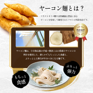 【 小豆島 】小豆島手延べヤーコン麺 160g×9袋 手延べ そうめん 素麺 小豆島 土庄町 麺 ヤーコン ヤーコンめん