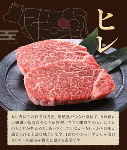 味彩牛 ヒレ ステーキ 約120g×2枚 計240g 菊池地域農業協同組合(JA菊池まんまキッチン)《90日以内に出荷予定(土日祝除く)》熊本県 菊池市 牛肉 お肉 熊本県産 九州産 国産 冷凍 送料無料